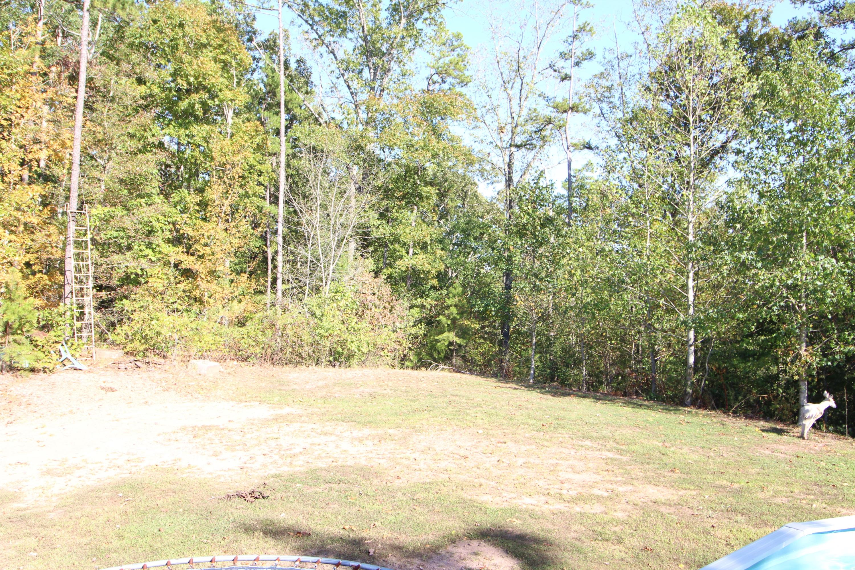 550 Stanfield Road Northwest Georgetown, TN 37336 - Photo 16 of 46 IMG_1690