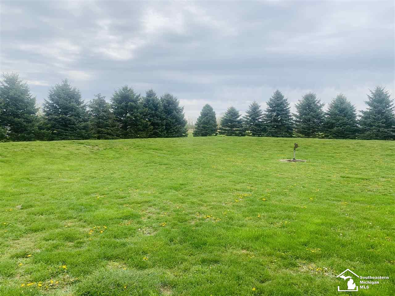 3231 East Erie Road Erie, MI 48133 - Photo 5 of 16