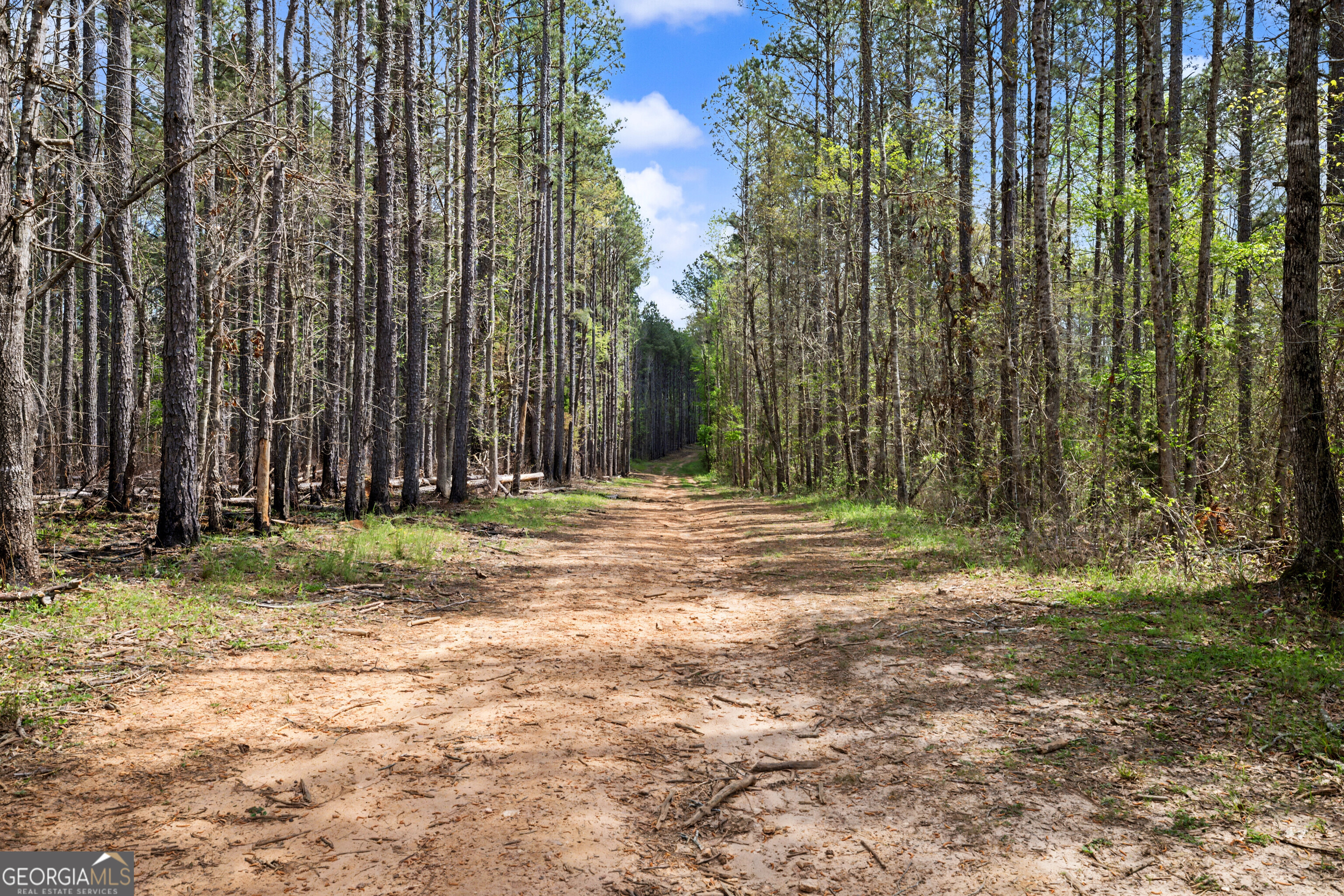 1405 Jones Mill Road Woodbury, GA 30293 - Photo 7 of 11 a view of outdoor space with trees