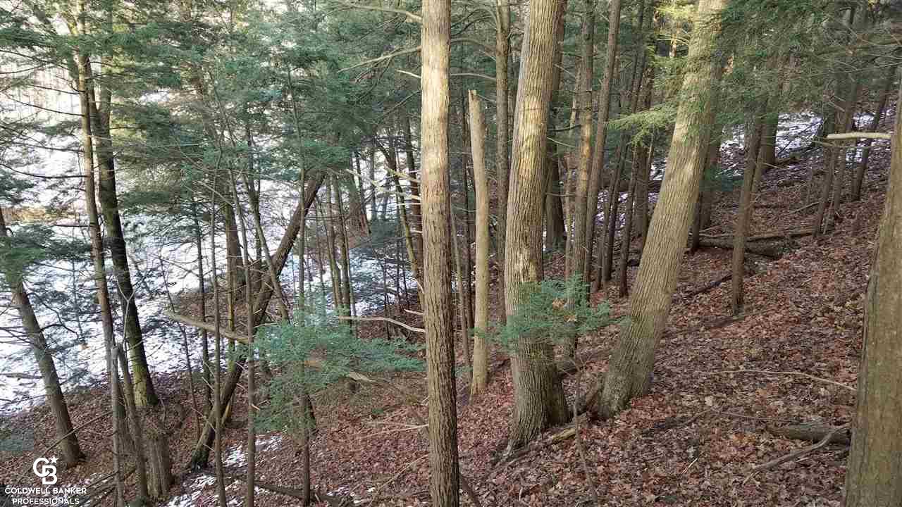4691 Cribbins Road Avoca, MI 48006 - Photo 21 of 42 This is a view at the hill.