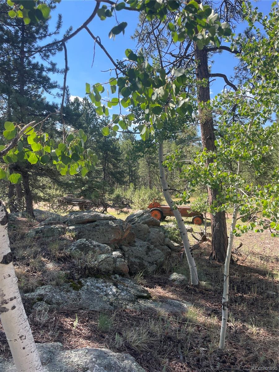 3943 Co Road Florissant, CO 80816 - Photo 27 of 37 Gallery Image 27