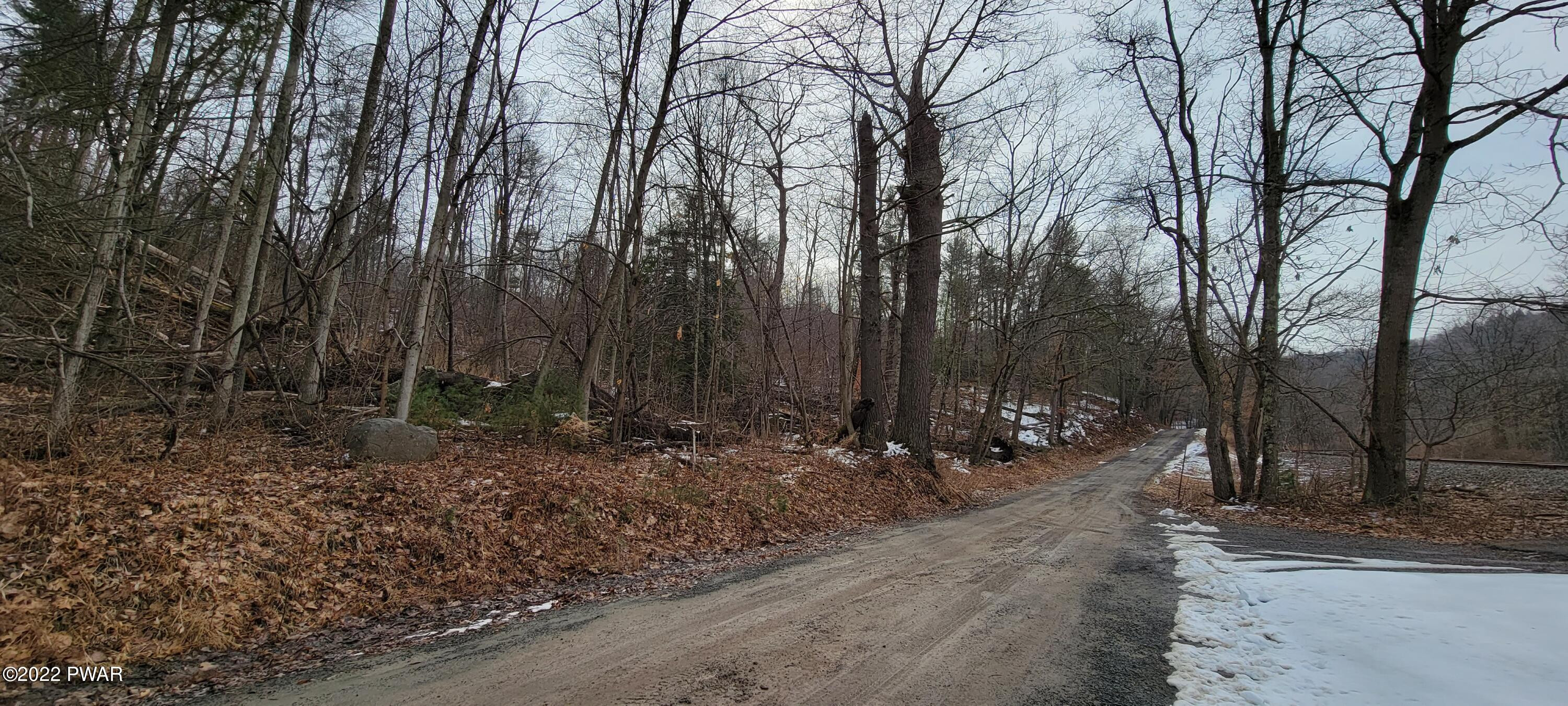 Lot 5.2 Humphrey Road Narrowsburg, NY 12764 - Photo 20 of 51