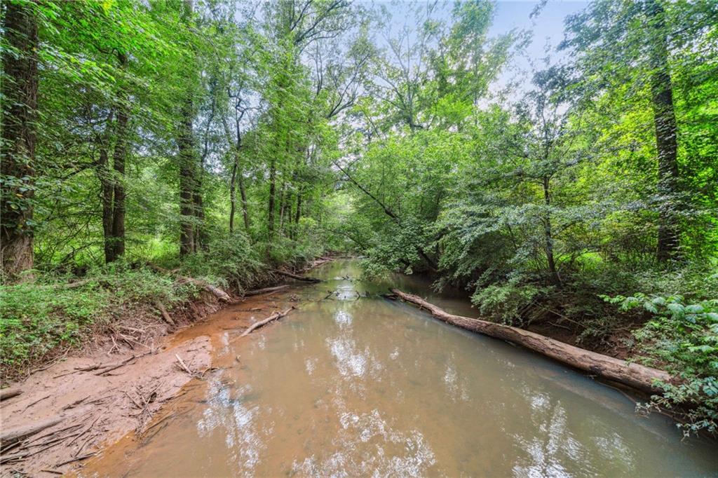 1265 Whitestone Ridge Alpharetta, GA 30005 - Photo 37 of 49