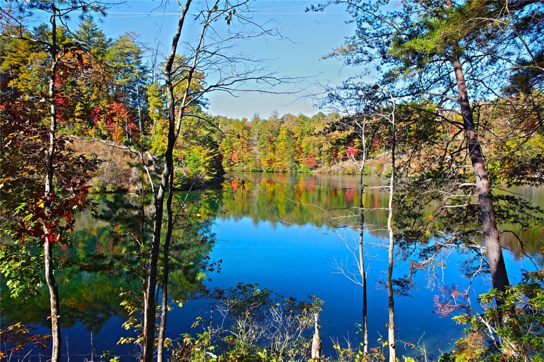 196 Jocassee Point Road Salem, SC 29676 - Photo 11 of 40 Gallery Image 11