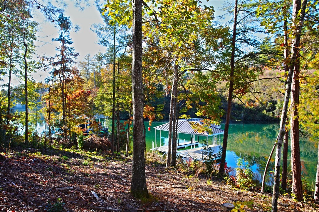 196 Jocassee Point Road Salem, SC 29676 - Photo 12 of 40 Gallery Image 12