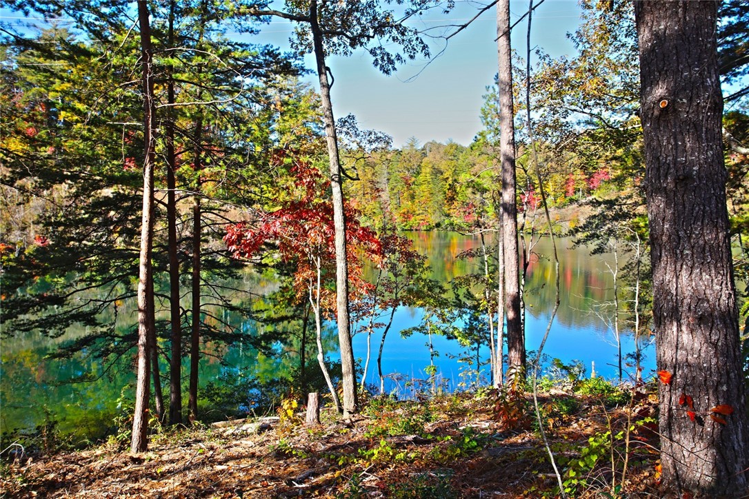 196 Jocassee Point Road Salem, SC 29676 - Photo 14 of 40 Gallery Image 14