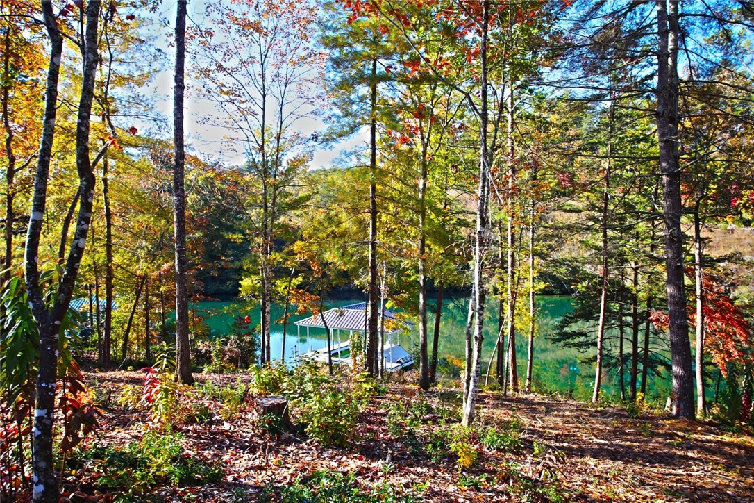 196 Jocassee Point Road Salem, SC 29676 - Photo 15 of 40 Gallery Image 15