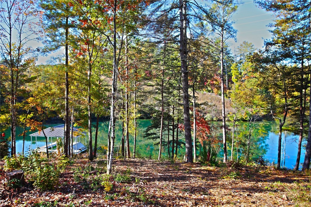 196 Jocassee Point Road Salem, SC 29676 - Photo 16 of 40 Gallery Image 16