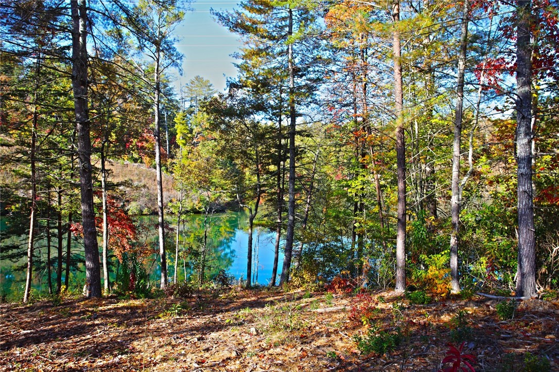 196 Jocassee Point Road Salem, SC 29676 - Photo 17 of 40 Gallery Image 17