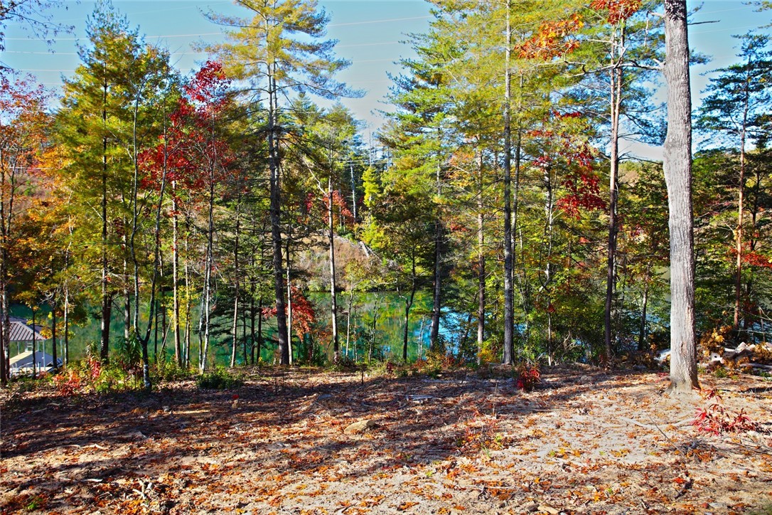 196 Jocassee Point Road Salem, SC 29676 - Photo 19 of 40 Gallery Image 19