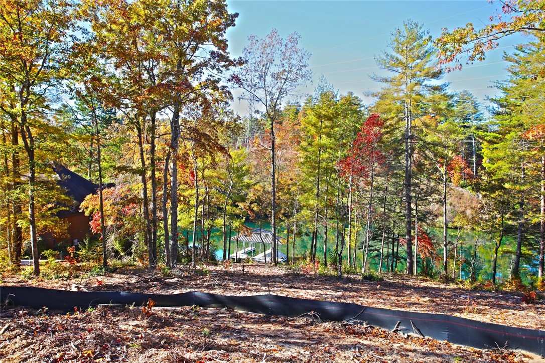 196 Jocassee Point Road Salem, SC 29676 - Photo 20 of 40 Gallery Image 20