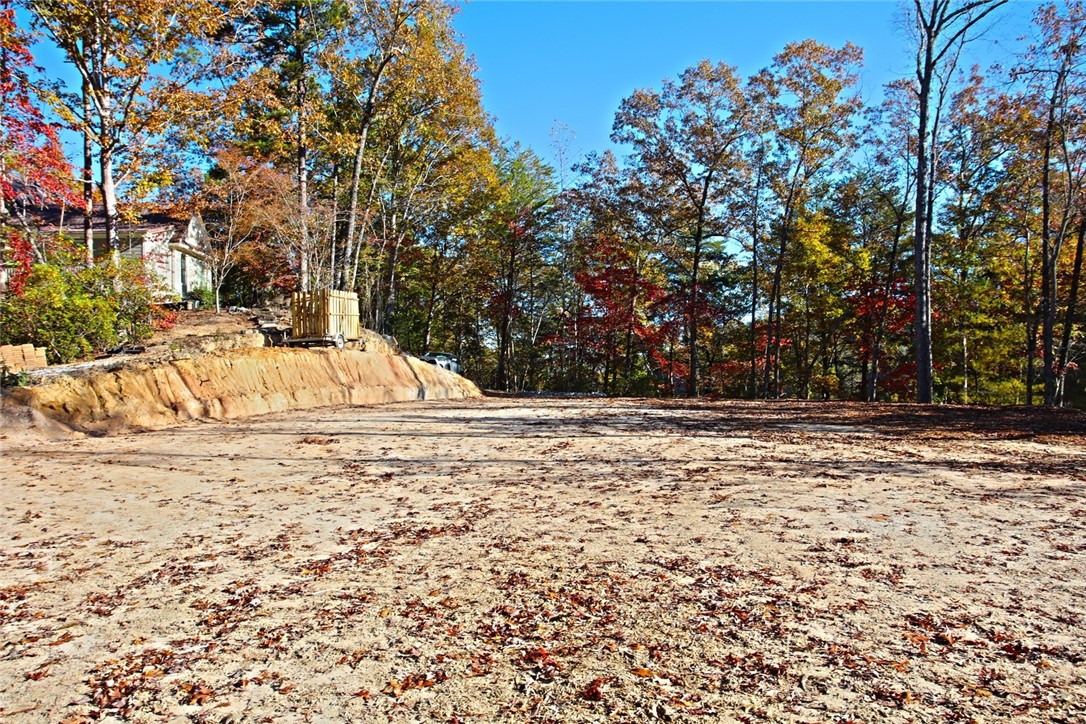 196 Jocassee Point Road Salem, SC 29676 - Photo 22 of 40 Gallery Image 22