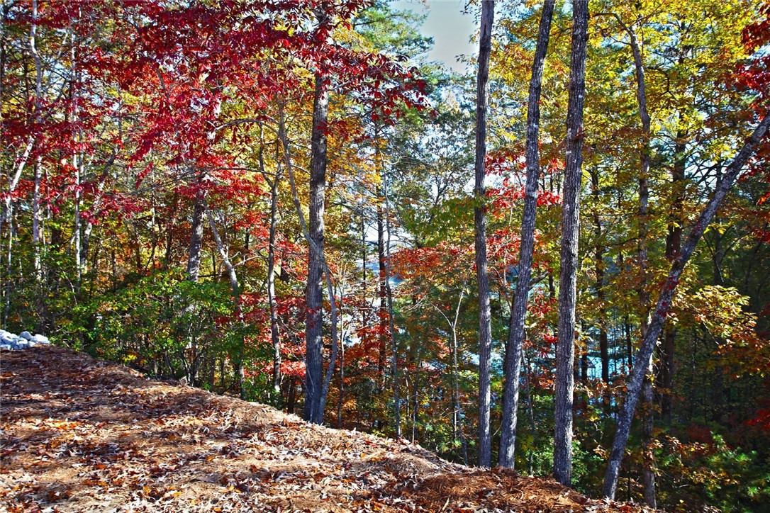 196 Jocassee Point Road Salem, SC 29676 - Photo 29 of 40 Gallery Image 29