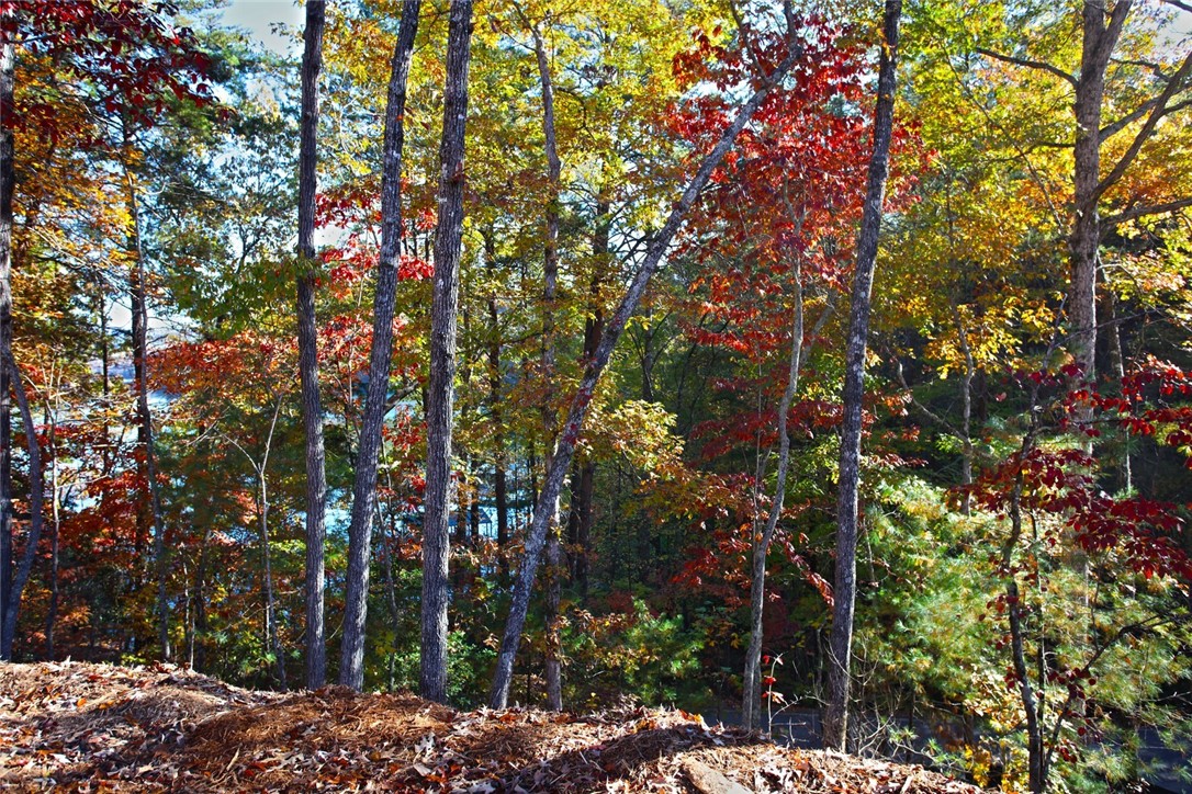 196 Jocassee Point Road Salem, SC 29676 - Photo 30 of 40 Gallery Image 30