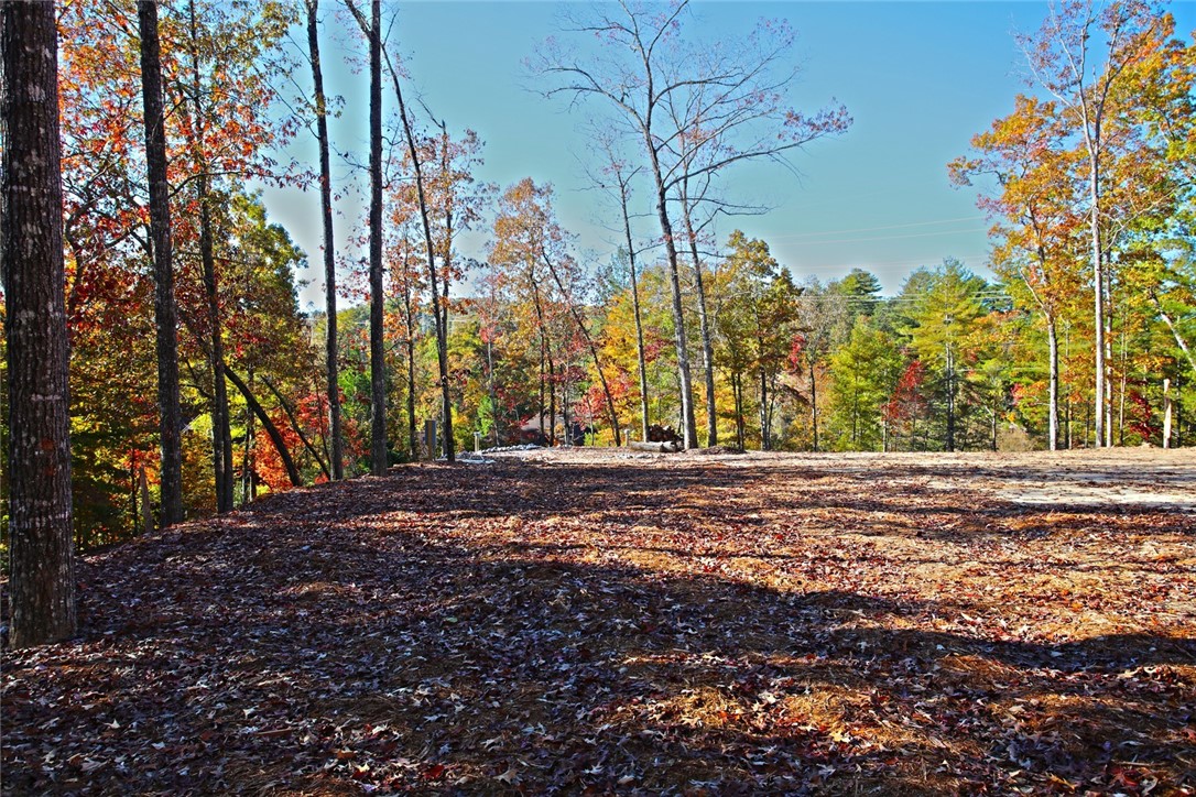 196 Jocassee Point Road Salem, SC 29676 - Photo 31 of 40 Gallery Image 31