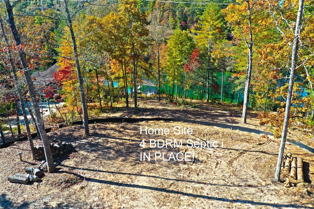 196 Jocassee Point Road Salem, SC 29676 - Photo 4 of 40 Gallery Image 4