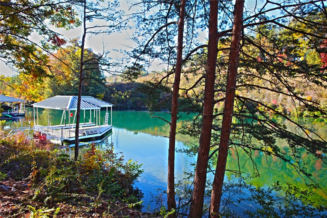 196 Jocassee Point Road Salem, SC 29676 - Photo 10 of 40 Gallery Image 10