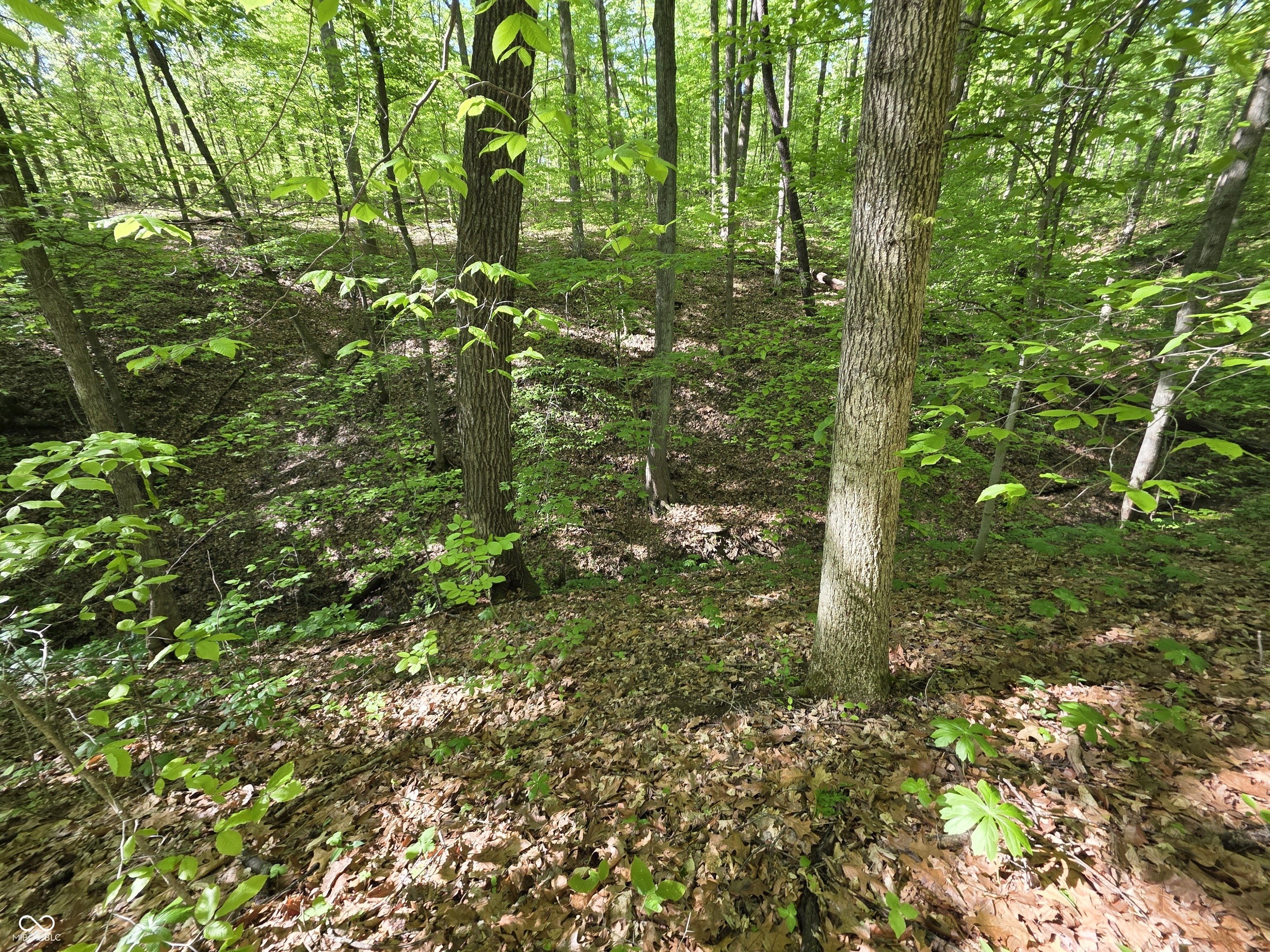 6377 North Tutterow Road Monrovia, IN 46157 - Photo 41 of 42