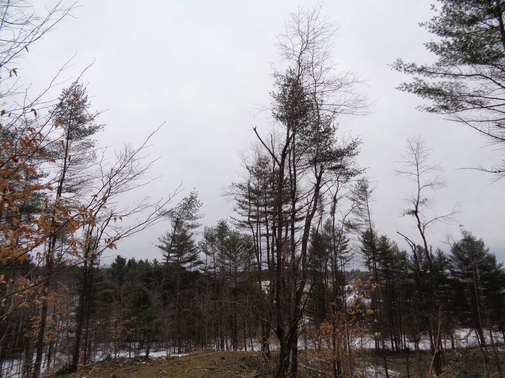 Map 5-lot Map 5-lot Mount Augusta, ME 04330 - Photo 13 of 18 Land/Lot
