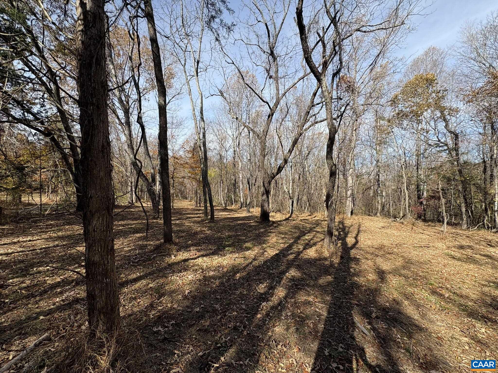 Parcel F Dulwich Drive Amherst, VA 24521 - Photo 13 of 22 a view of a yard with trees