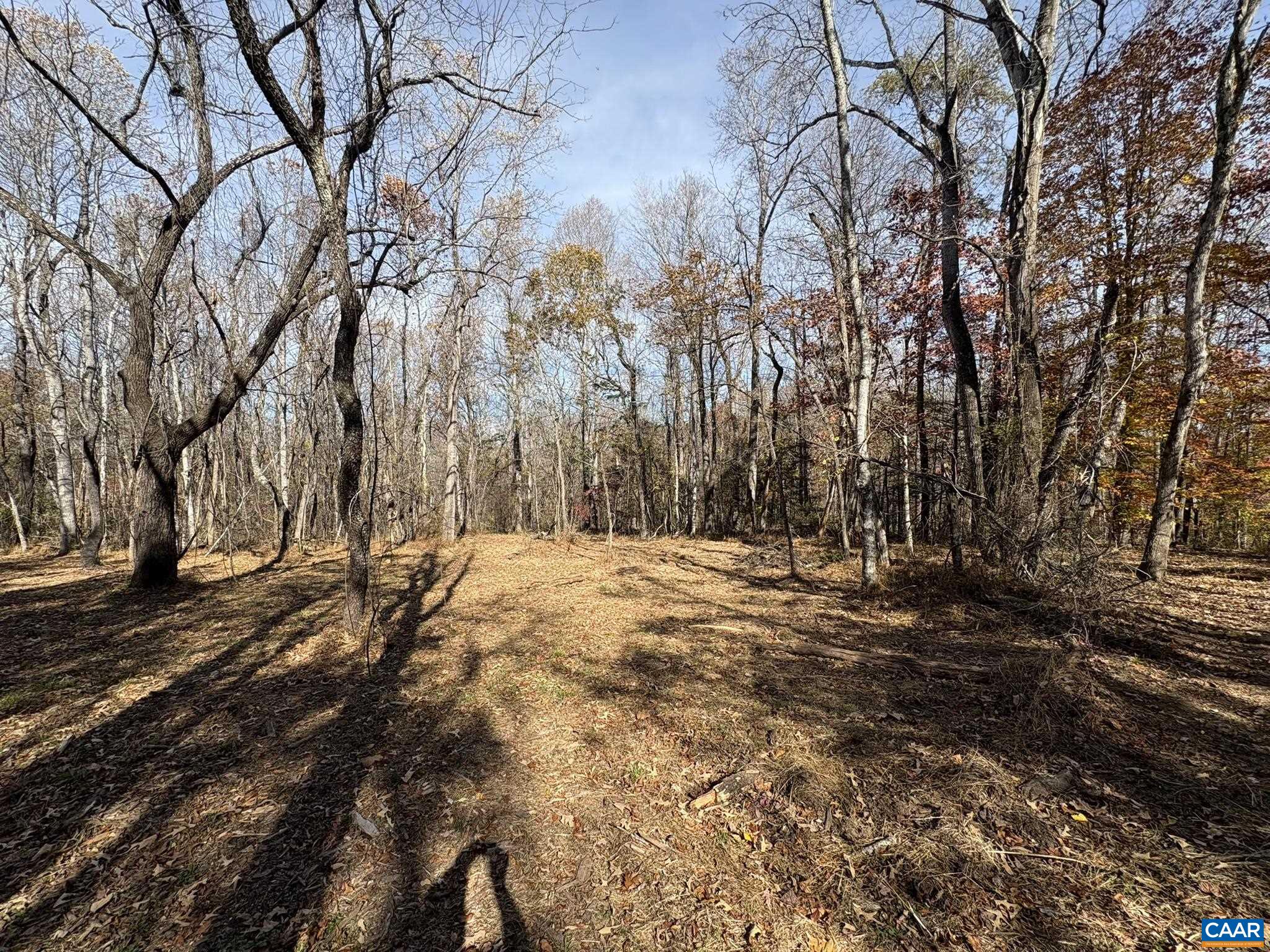 Parcel F Dulwich Drive Amherst, VA 24521 - Photo 14 of 22 a view of road and trees