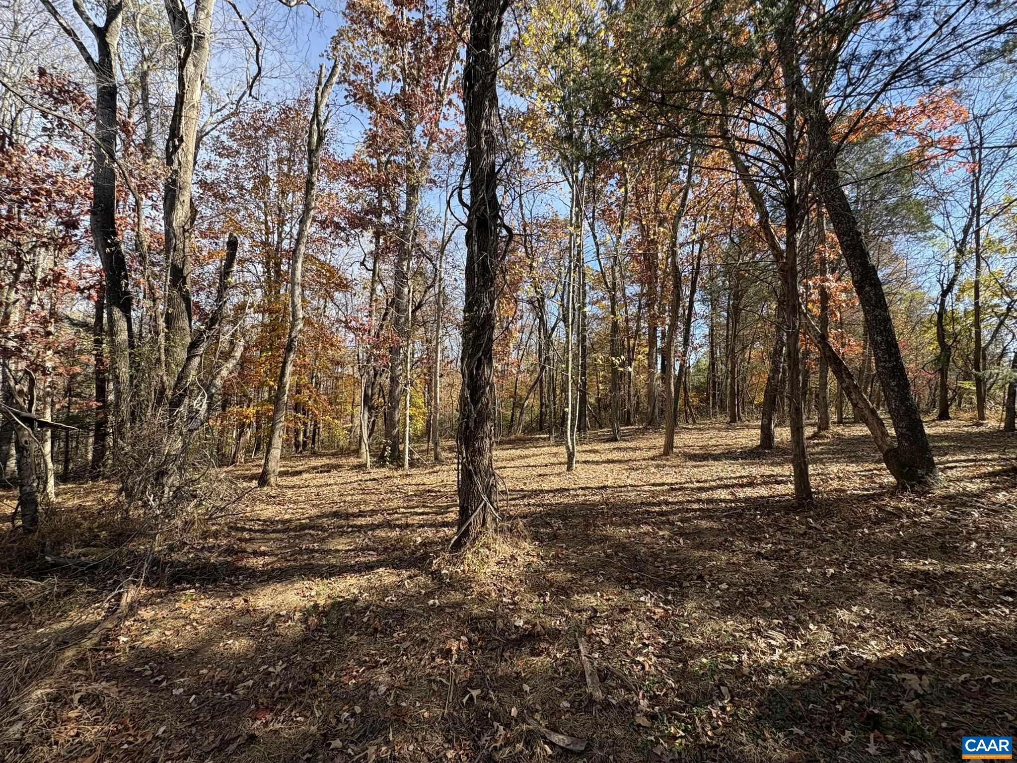 Parcel F Dulwich Drive Amherst, VA 24521 - Photo 15 of 22 a big yard with lots of green space and trees