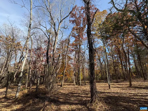 a view of outdoor space with lots of trees