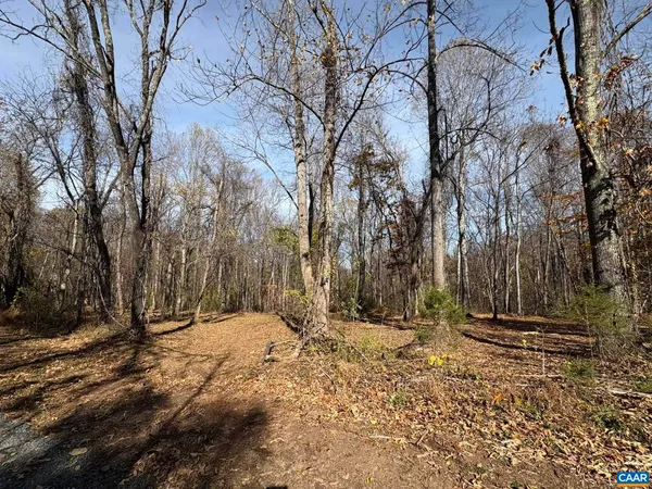 a view of snow on the side of trees