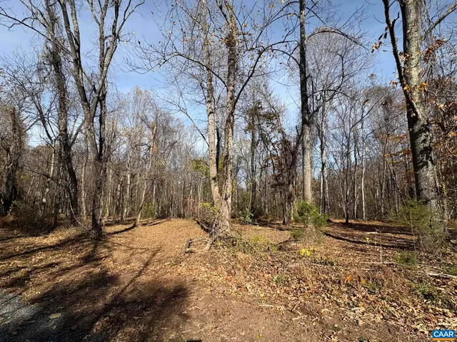 a view of snow on the side of trees