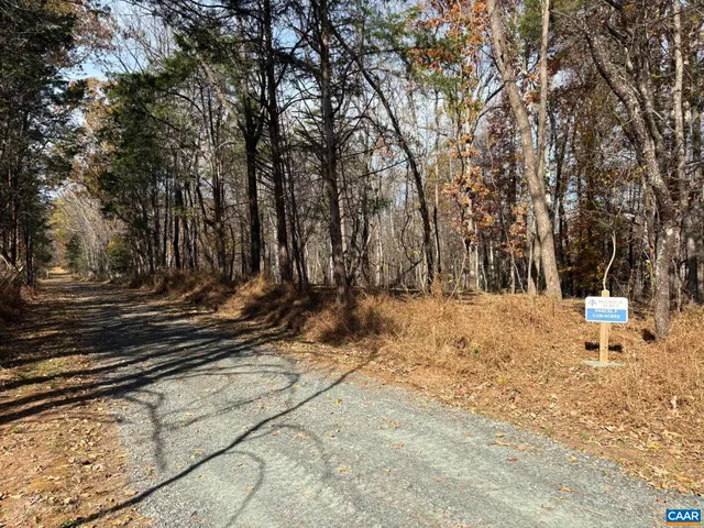 a view of a backyard with large trees