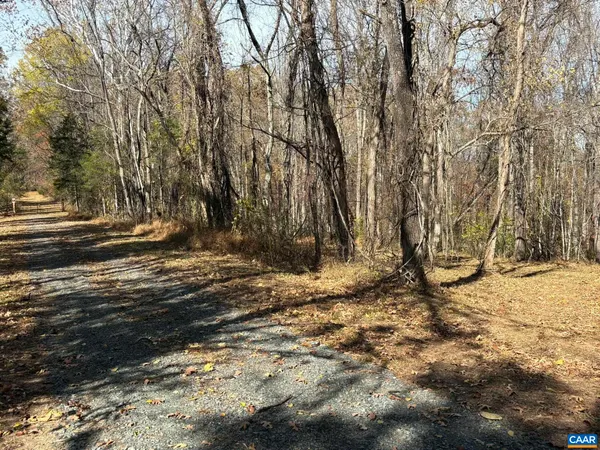 a view of a yard with trees