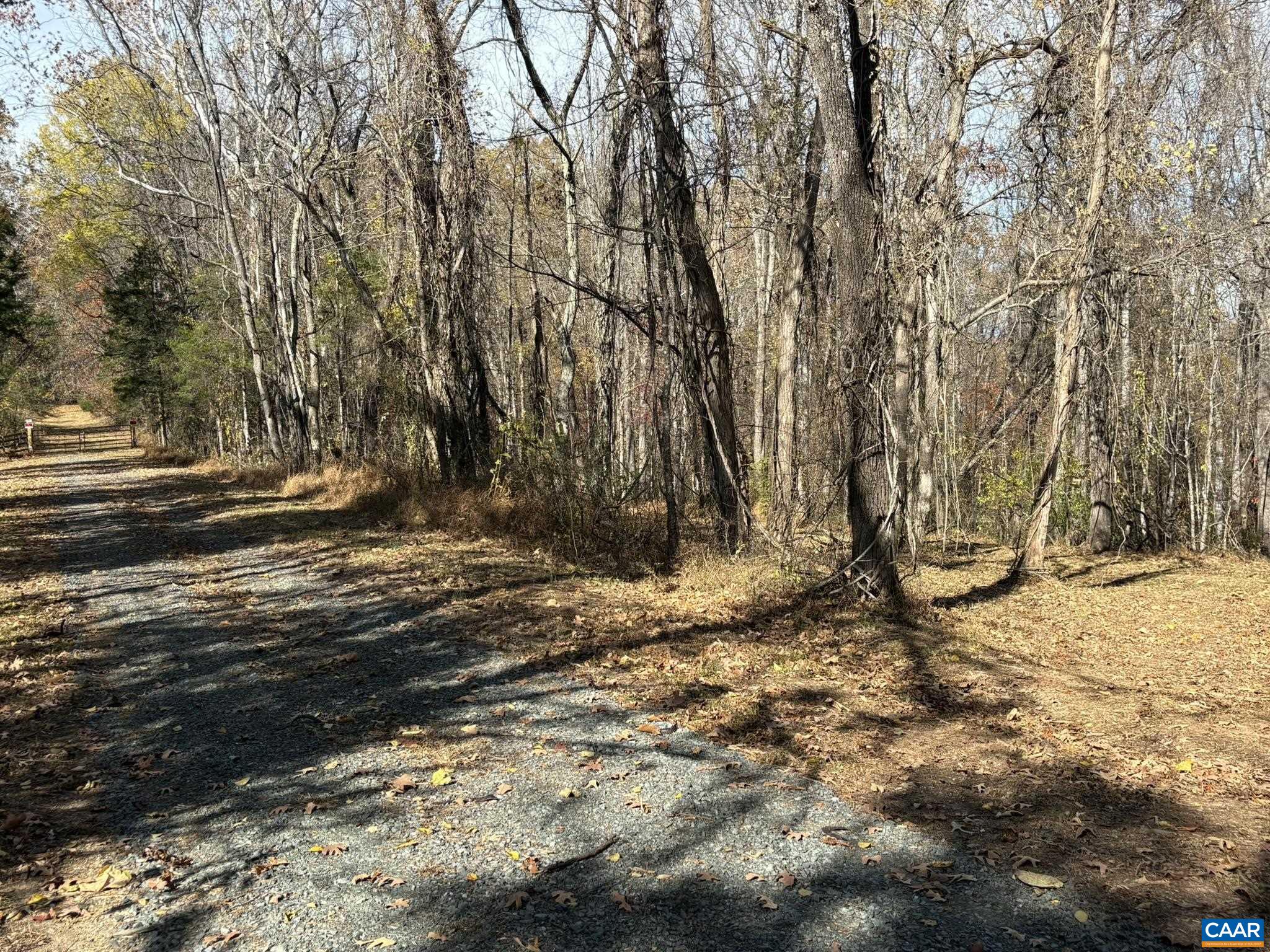 Parcel F Dulwich Drive Amherst, VA 24521 - Photo 3 of 22 a view of a yard with trees