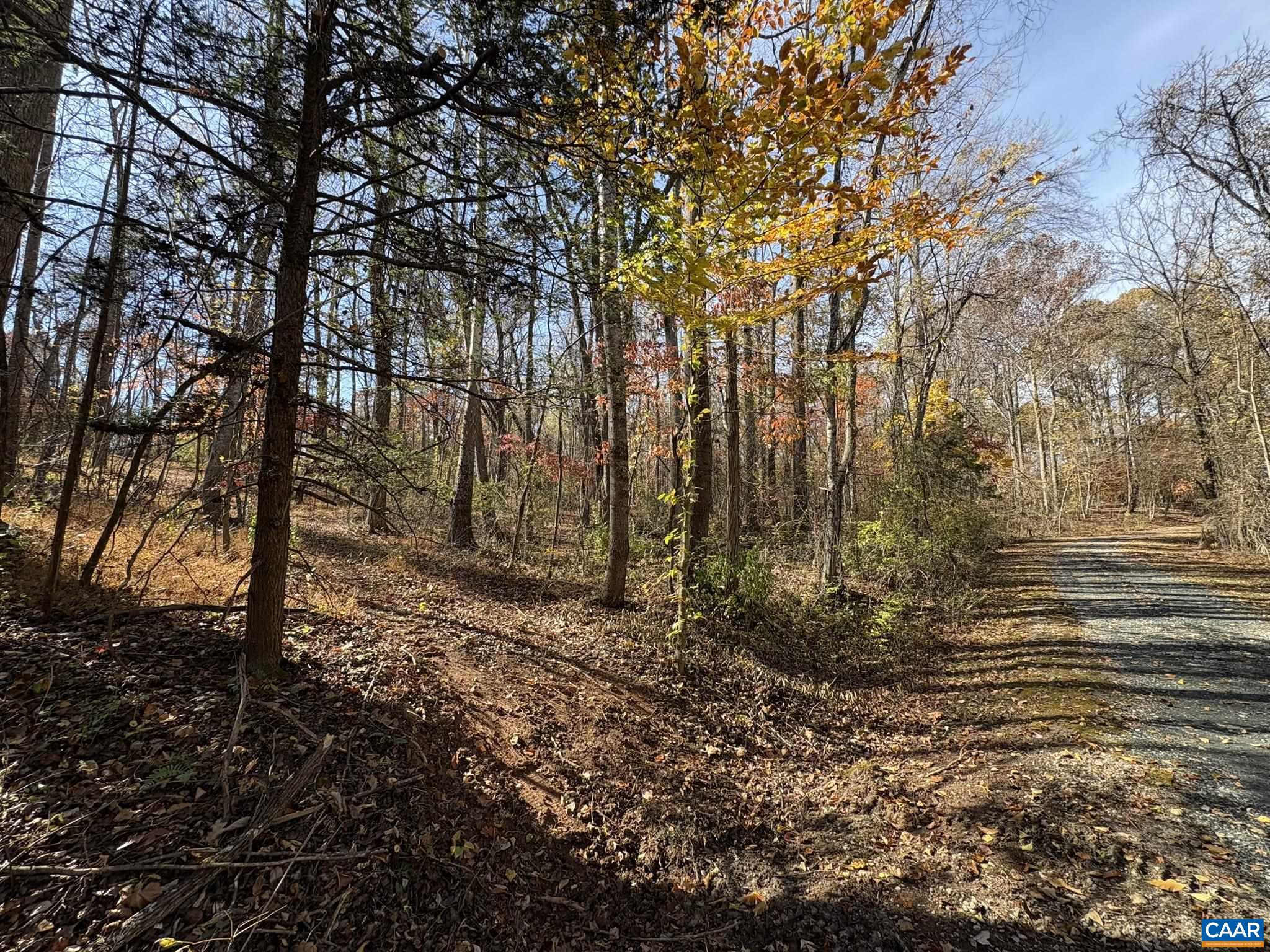 Parcel F Dulwich Drive Amherst, VA 24521 - Photo 7 of 22 a big yard with lots of green space and plants