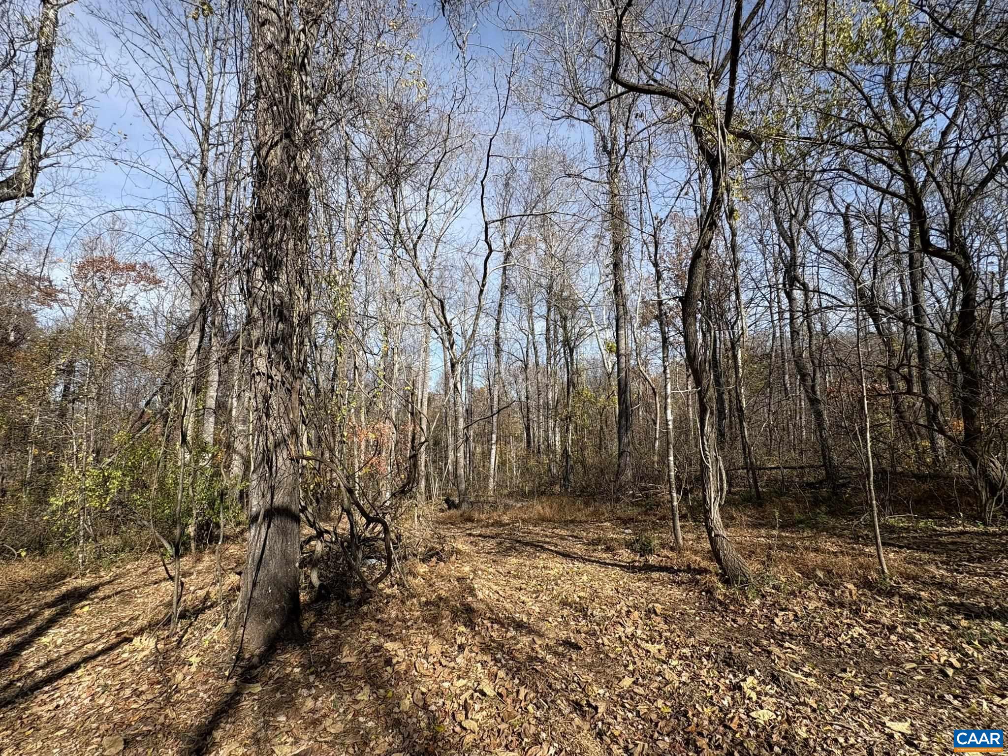 Parcel F Dulwich Drive Amherst, VA 24521 - Photo 9 of 22 a backyard of a house with lots of green space
