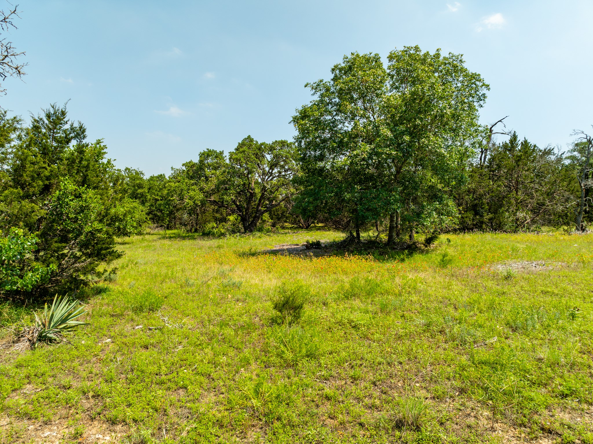 Tbd Tbd Pitchfork Ranch Road Copperas Cove, TX 76522 - Photo 7 of 35 a view of a swimming pool with an outdoor space and seating area