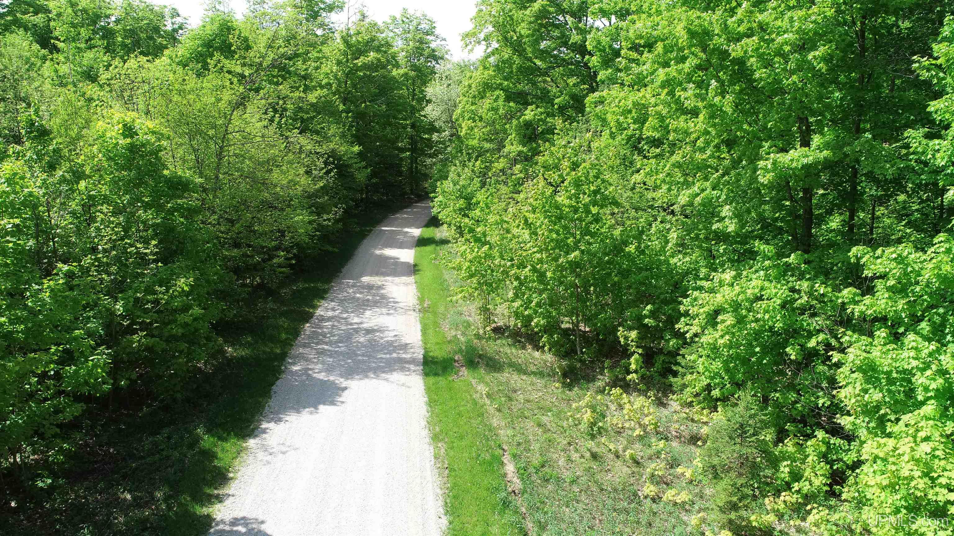 4855 N Camp 23 Road Germfask, MI 49836 - Photo 8 of 28