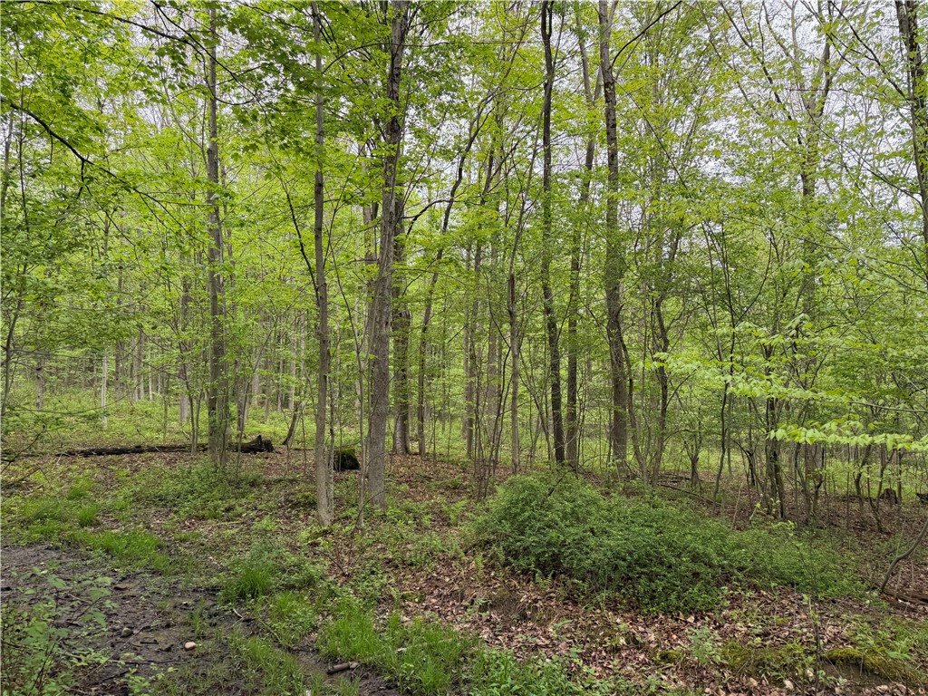 Vl Vl Lyndon Abbott Road Franklinville, NY 14737 - Photo 27 of 50