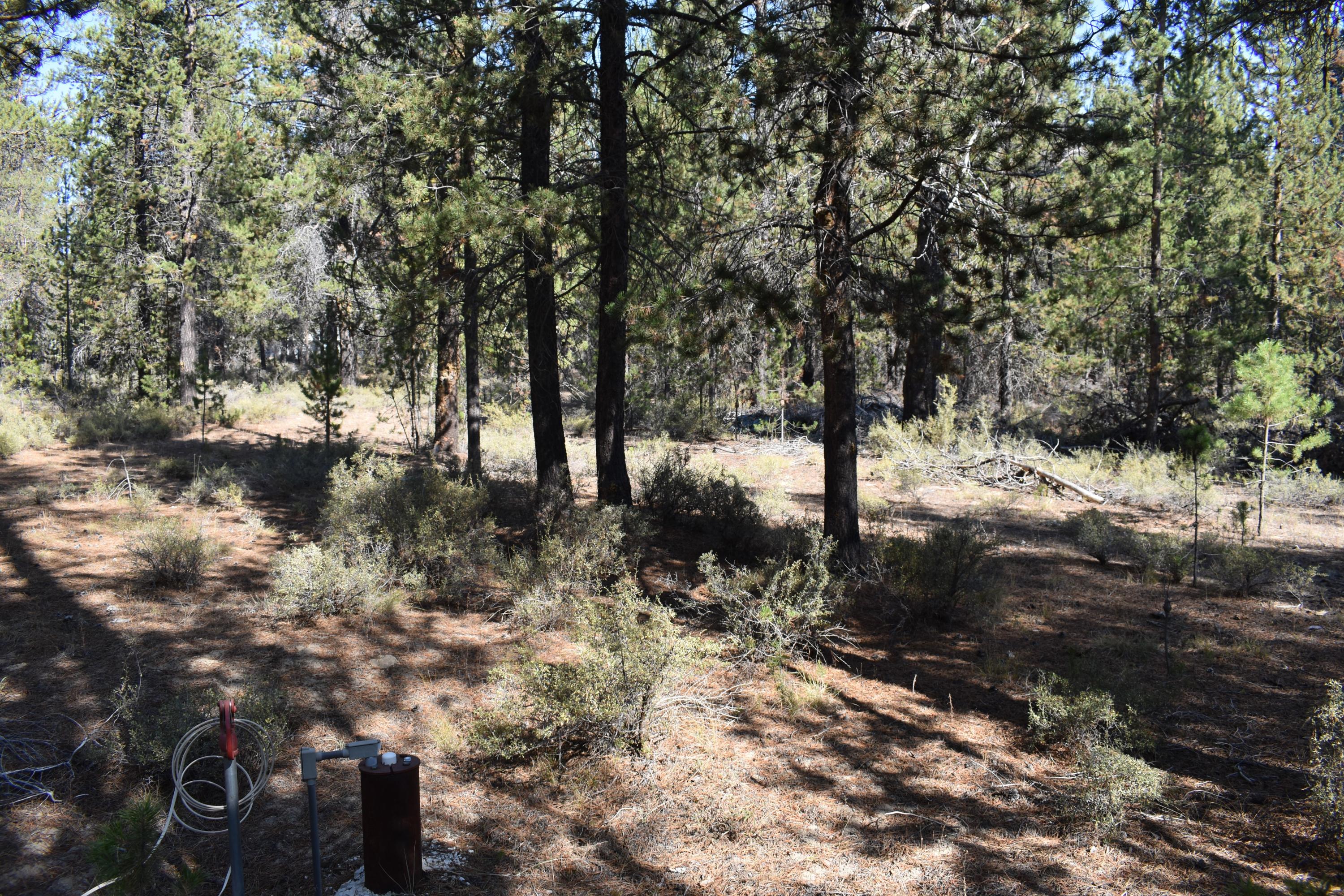 16096 Dyke Road La Pine, OR 97739 - Photo 2 of 6 16096 Dyke 6