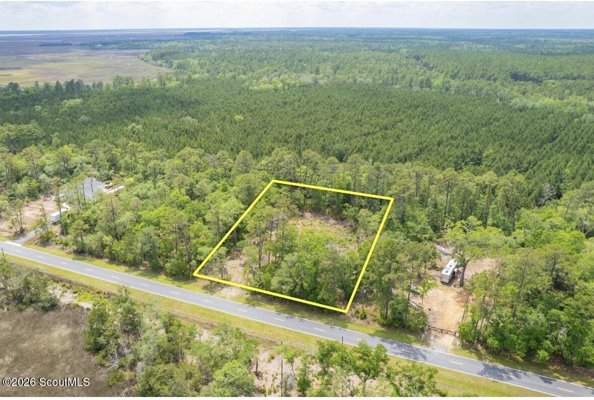 0 Piney Bluff Road Waverly, GA 31565 - Photo 17 of 26 IMG_9116
