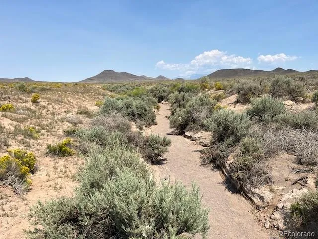 a view of a dry yard with trees