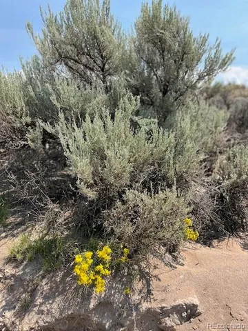 a view of a yard with a pole