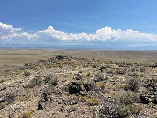 a view of a tree with a wooden fence