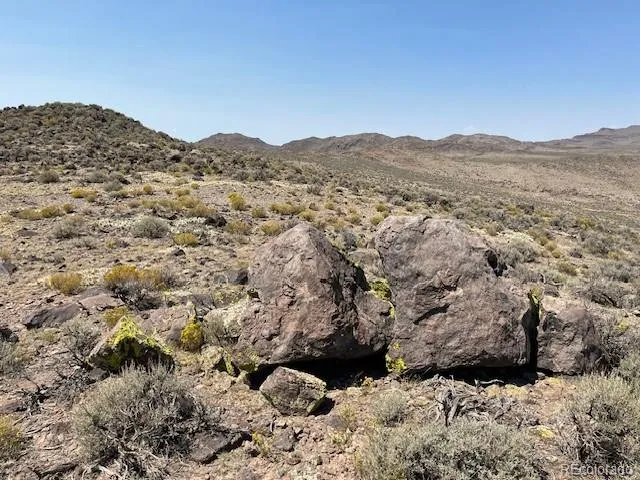 an aerial view of houses covered in trees