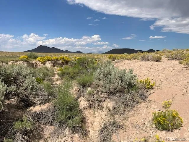 $320,000 | Tbd Brent Avenue, Sanford, CO 81151