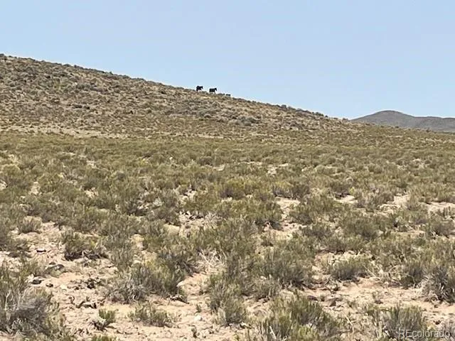 a view of city and ocean