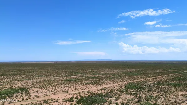 a view of a city with lush green forest