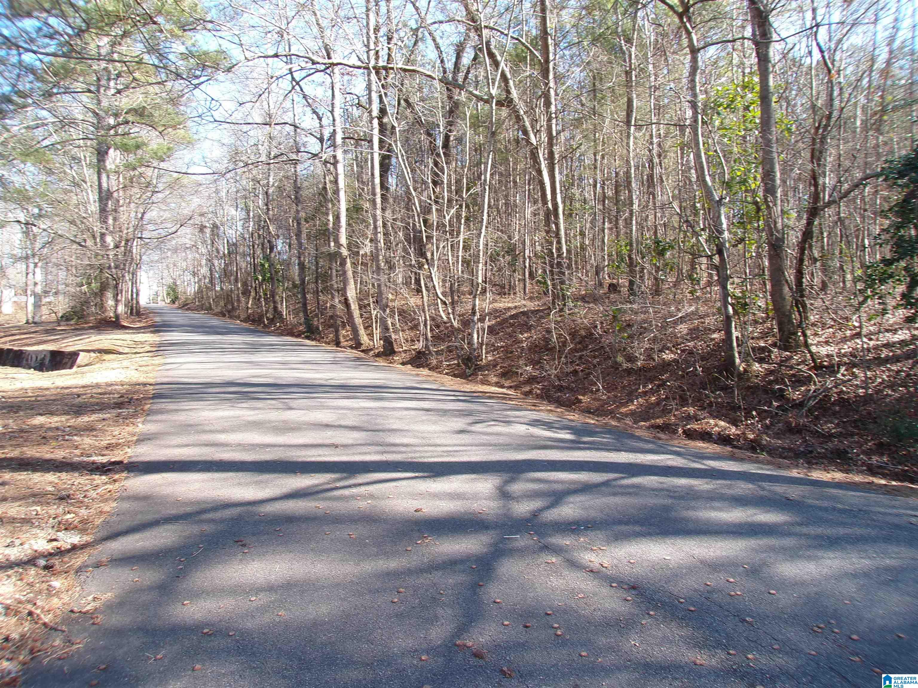 0 Arthur Drive, Unit 27 Weaver, AL 36277 - Photo 3 of 15