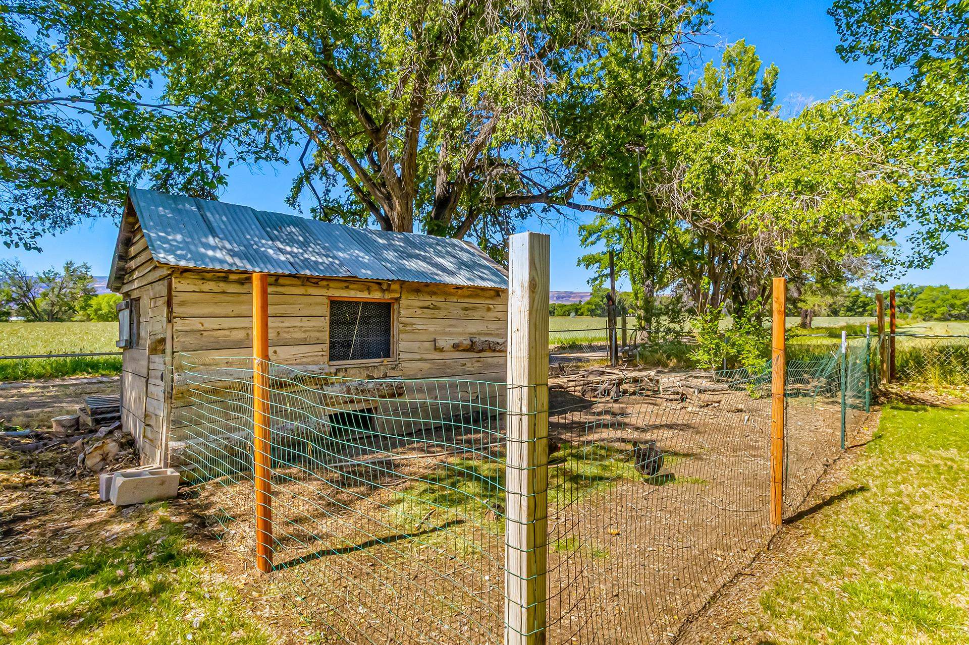1221-17 17 1/2 Road Fruita, CO 81521 - Photo 23 of 36