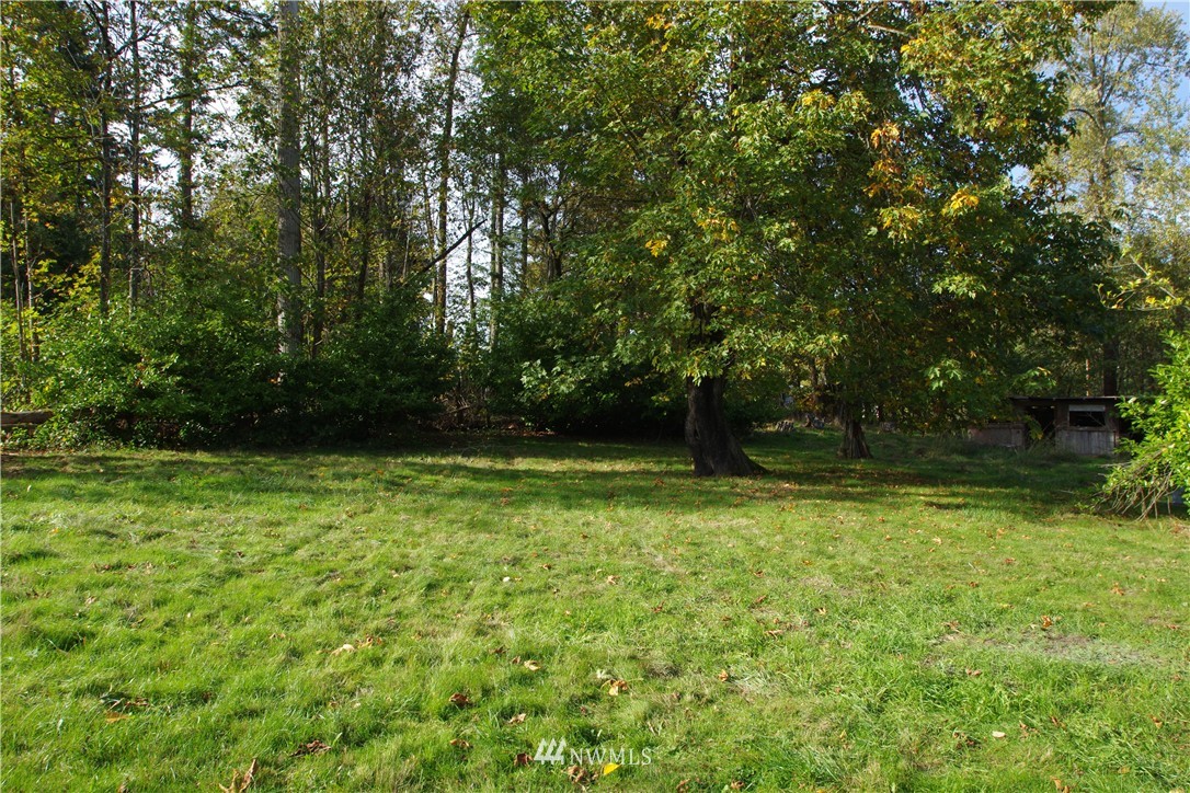 30022 Orville Road East Graham, WA 98338 - Photo 19 of 23 Gallery Image 19
