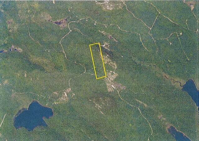 Lot 46 Doane Road Carroll Plt, ME 04487 - Photo 3 of 7 Aerial